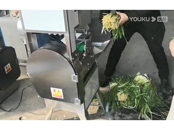 臺灣單頭切菜機葉類菜